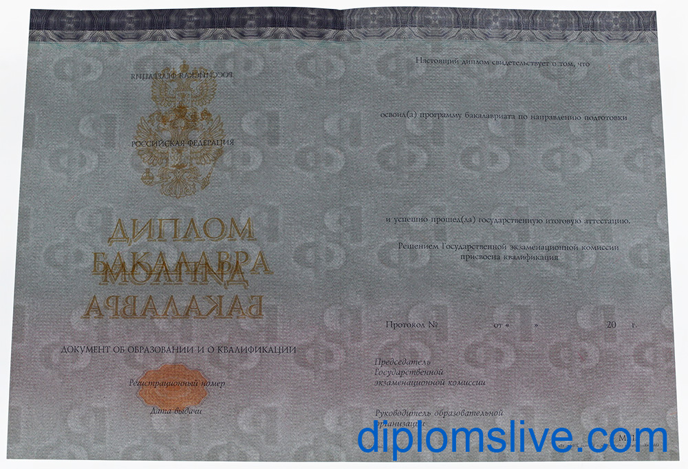 Диплом бакалавра 2014-2019 год фото Киржач