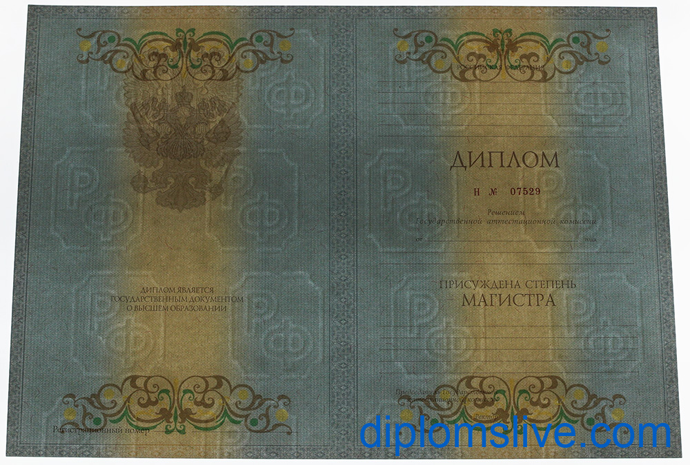 Диплом магистра 2010-2013 год фото